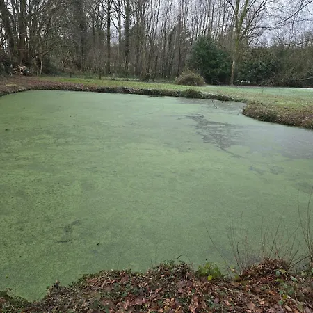 シャレー Evasion En Normandie Longny-les-Villages