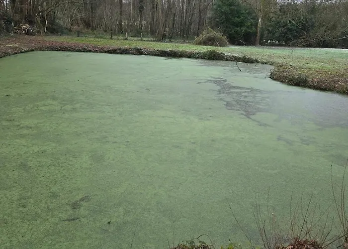 Chalet évasion En Normandie Longny-les-Villages
